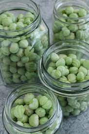 kapuzinerkresse verarbeiten rezeptideen und tipps rezept rezeptideen kapuzinerkresse lebensmittel essen