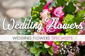 Check spelling or type a new query. Home Page Maisies Daisies Your Local Florist Delivering Flowers In Brora And The Surrounding Areas 01408 622754
