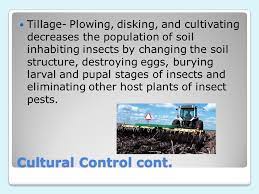 However, the following practices may be useful in suppressing. Integrated Pest Management Methods Of Insect Control Cultural Biological Chemical Physical Mechanical Of The Four Control Methods Chemical Control Is Ppt Download