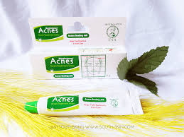 South Skin Com Mentholatum Acnes Sealing Jell Review