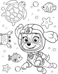Zuma is the youngest of the all pups at 5 years old and everest is the oldest one at 8 years old. Everest Is Diving Coloring Page Free Printable Coloring Pages For Kids