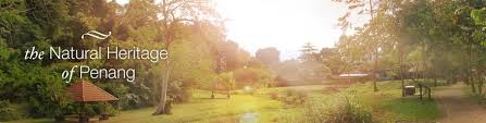 Idea membina taman botani singapura bermula pada tahun 1822 apabila sir stamford raffles membina taman seumpamanya yang pertama di fort canning. Jualan Produk Taman Botani Penang Home Facebook