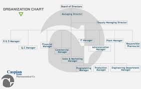Organization Chart Caspian Tamin Pharmaceutical Company