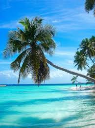 Bask in magnificent views of the breathtaking, crystal clear lagoon and the ocean beyond from the window of your exclusive maldives suite. Paradise Island Beautiful Beaches Paradise Island Beautiful Places