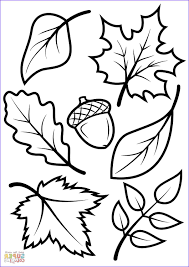 The design experts at hgtv share tips and ideas for decorating with fall's trendiest colors in your home. 42 Coloring Page Leaves Leaf Coloring Page Fall Leaves Coloring Pages Fall Coloring Sheets