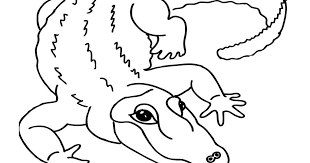 Setelah tema ramadhan, ada tema hewan, tumbuhan, ada lagi tema mewanai bunga, dan sebagainya. Download Gambar Hewan Untuk Diwarnai Download Gambar Sketsa Hewan Buaya Aliransket Mewarnai Binatang Kera Contoh Gambar Mewa Sketsa Hewan Gambar Hewan Gambar