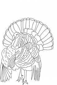 It has a lot of parts which must get color. Free Printable Turkey Coloring Pages For Kids Turkey Coloring Pages Thanksgiving Coloring Pages Coloring Pages