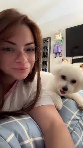 10 Fun Facts About Bichon Frise