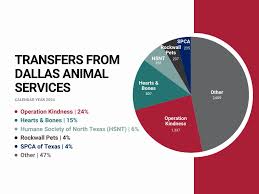 Operation Kindness, Hearts & Bones Animal Rescue, Humane Society of North  Texas, Rockwall Pets and the SPCA of Texas accounted for 53% of all dog and  cat transfers from Dallas Animal Services