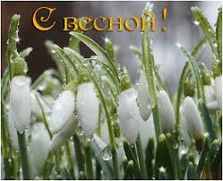 � ������! ��������, ������������ �� cards.tochka.net