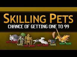 You can follow the links below for some more information on the things i spoke about in this article. Skilling Pets Chance Of Getting One To Lvl 99 Youtube