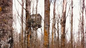 Cas confirmés, mortalité, guérisons, toutes les statistiques 10 Best Tree Stand Blinds For 2021 Advanced Hunter