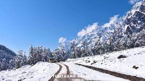The best time to relish the surreal beauty of yumthang valley is during spring season. Yumthang Valley The Best Guide To Valley Of Flowers In Sikkim T2b