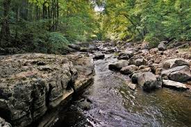 We did not find results for: Canaan Valley Wv Hiking Otter Creek Wilderness Part 2