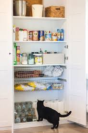 5 Ingenious Budget Pantries Hacked From Ikea Storage Basics Ikea Kitchen Pantry Ikea Pax Ikea Pantry