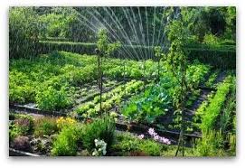 There are many vegetable garden design ideas for various house designs, but you must choose the one that is suitable for your needs. Planning A Garden Layout With Free Software And Veggie Garden Plans Garden Layout Indoor Vegetable Gardening Garden Planning Layout