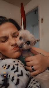 Lost male teacup yorkie named Whiskey in Newport News