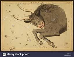 astronomical chart showing the bull taurus forming the