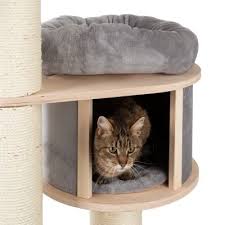 No more fighting over spaces ever again! Natural Paradise Cat Tree Standard Xl Great Deals At Zooplus