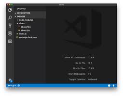 Image result for Visual Studio Code