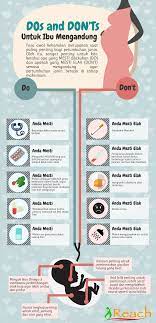 Kacang hijau digolongkan makanan super bagi ibu hamil. Tips Do S And Don T Khusus Untuk Ibu Hamil Infografik Dbestummi
