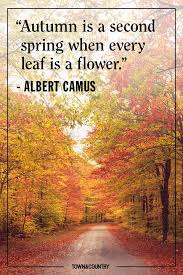 See more ideas about quotes, inspirational quotes, life quotes. 25 Inspiring Fall Quotes Best Quotes And Sayings About Autumn