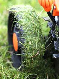 14 Mowing Mistakes Everyone Makes Mowing Grass Diy Lawn