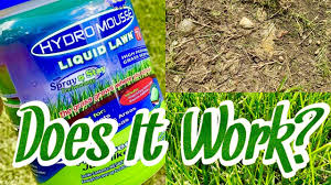 Does Hydro Mousse Liquid Lawn Grass Spray Work Youtube