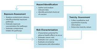 The information you provide in this form is personal health information protected by federal and state law and. Human Health Risk Assessments Quick Reference Guide Department Of Toxic Substances Control