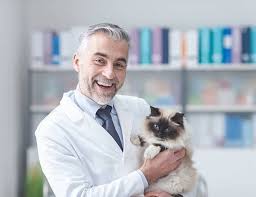 Vet to pet was founded by dr. Panda Animal Clinic Hialeah Medical Veterinary
