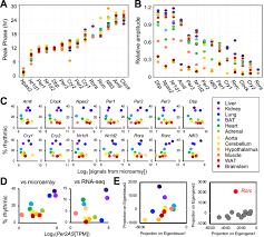 Arti 607 meaning ini text sama halnya dengan 607 meaning namun di meaning in text ini akan admin jelaskan. Genome Wide Correlation Analysis To Identify Amplitude Regulators Of Circadian Transcriptome Output Scientific Reports
