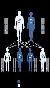 Laverne is a handy bioinformatics tool to help facilitate scientific exploration of related genes, diseases and pathways based on. Naegeli Franceschetti Jadassohn Syndrome Alchetron The Free Social Encyclopedia