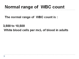 Normal wbc count ranges usually vary slightly among various laboratories where the test is conducted. Blood Tests White Blood Cells Outline V White