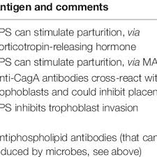 Sexploring xio | āzijas video meitenes, kas orgasma neprātīgi ar pirkstiem, krāni, rotaļlietas. Pdf A Dormant Microbial Component In The Development Of Preeclampsia
