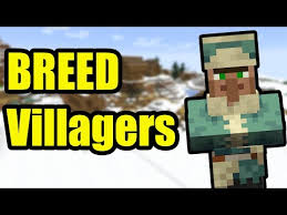 Minecraft Niteit Villagers #Nitwit #Minecraft | Tiktok