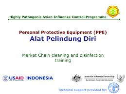 Pentingnya mengenal lebih jauh apa itu alat pelindung diri (apd) dan fungsinya untuk para pekerja, bagi perkerja lapangan alat pelindung diri jenis apd/ppe yang diperlukan dalam berbagai aktifitas kerja di industri sangat tergantung pada aktifitas yang dilakukan dan jenis bahaya yang terpapar. Ppt Personal Protective Equipment Ppe Alat Pelindung Diri Powerpoint Presentation Id 4560331
