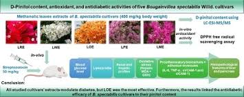 Image result for Bougainvillea sp. cultivar