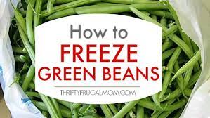 How To Freeze Green Beans A Step By Step Tutorial Thrifty Frugal Mom