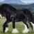 Budweiser Clydesdales Commercial