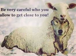 References to sheep are found throughout the bible. Wolf In Sheep S Clothing Sheep Quote Sheep Clothing Meaningful Quotes