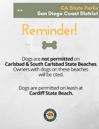 Maybe you would like to learn more about one of these? South Carlsbad State Beach Home Facebook