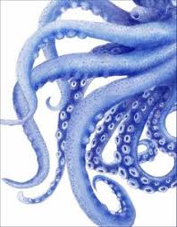 Kontaktieren sie uns gerne, wenn sie auf der suche nach einem ganz speziellen ausmalbild mit einem ganz besonderen motiv sind. 35 Octopus Ideas In 2021 Zwgrafikh Xtapodi Tatoyaz