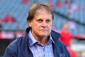 White Sox and Tony La Russa — somebody's idea of a joke, right?