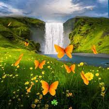 Kumpulan gif kupu kupu bergerak lengkap gratis. 130 Ide Parasa Wallpaper Alam Yang Indah Wallpaper Yang Indah Wallpaper Mawar Merah