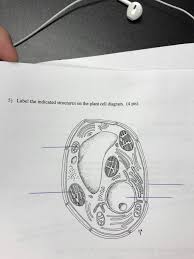 Plant cell diagram to label. Label The Indicated Structures On The Plant Cell Chegg Com