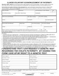 The parent seeking to move the children must show that the move is in the children's best interest. 18 Printable Illinois Child Custody Forms Free Templates Fillable Samples In Pdf Word To Download Pdffiller