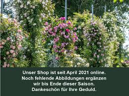 We did not find results for: Darlow S Enigma Historische Rosen Schutt
