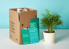 The Sill Now Has A Monthly Subscription Box And We Tried It Plant Gifts Subscription Box Design Plants