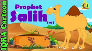 Over 20,000 were imported from india between the 1840s and the 1900s. Full Story Of Prophet Salih As All Life Events In Detail