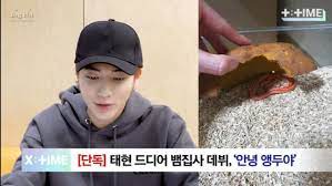 Taehyun (태현) is a member of big hit entertainment's second boy group, txt (tomorrow x together). On Twitter Taehyun Has A New Pet Snake Which Name Is Aengdu ì•µë' Means Cherry Most Likely He Named It Thru Its Color Like Cherry Https T Co Tmcid1mlgr